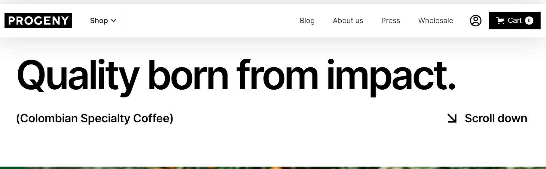 Progeny Coffee homepage