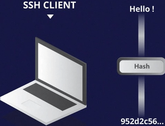 Image showing the process of creating cryptographic network hash.