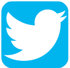 Twitter's tiny blue bird