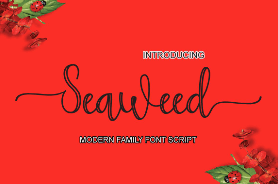 Seaweed Script modern font