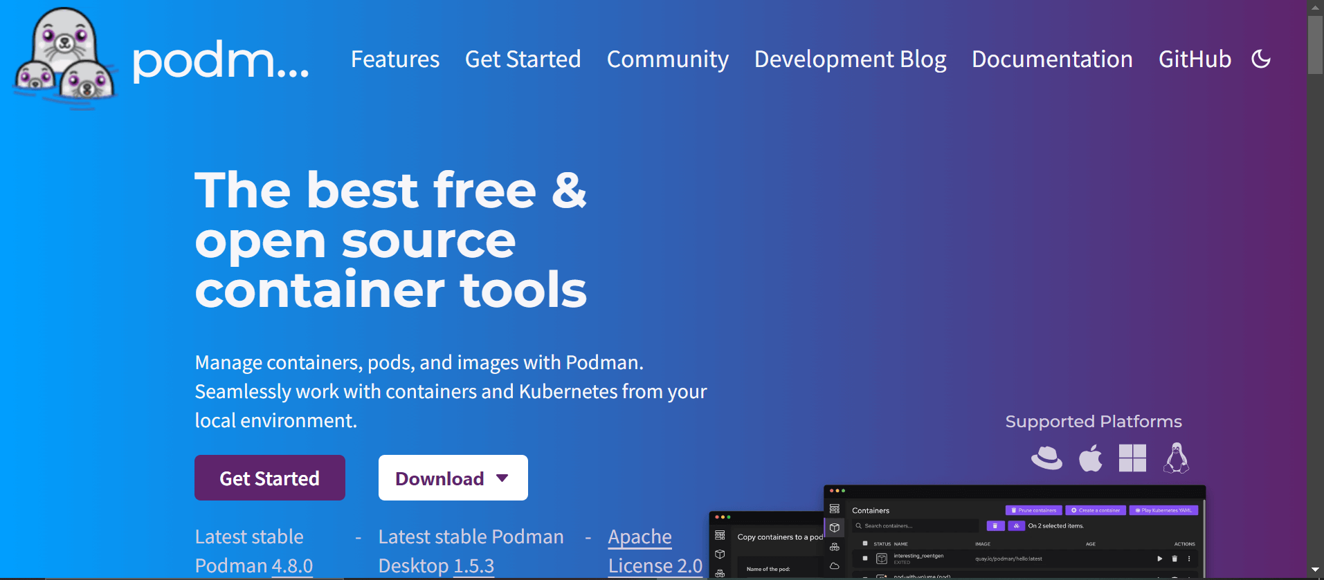 Docker Alternatives | Top Solutions for Containerization