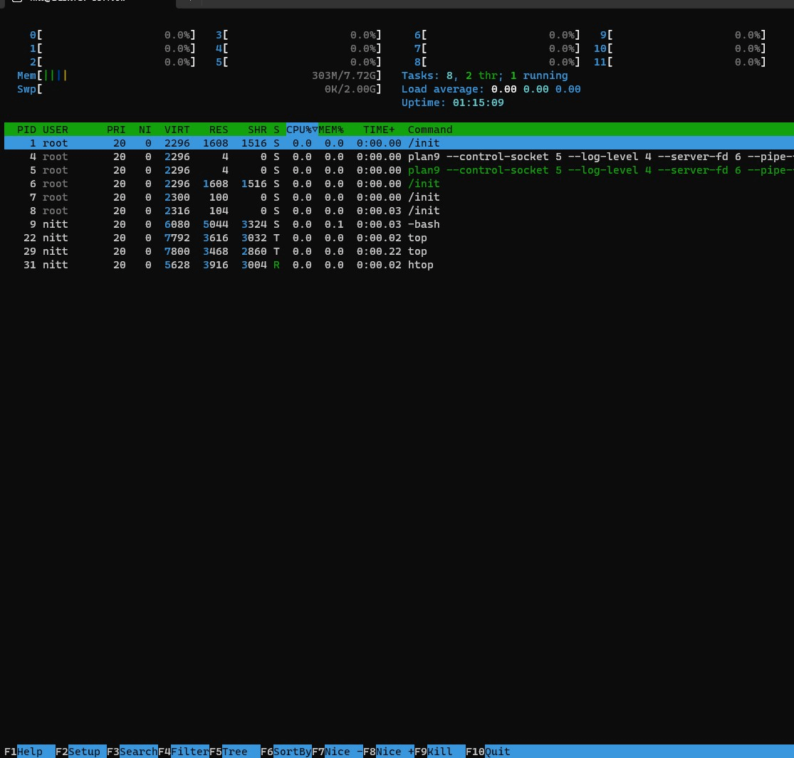 htop command - interactive and user-friendly 